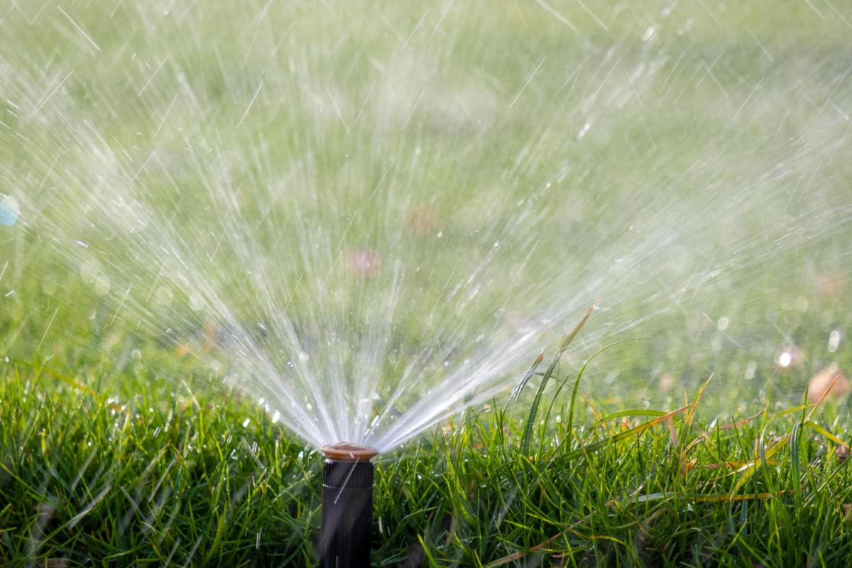 Benefits of Getting a Sprinkler System for Your Business Landscaping