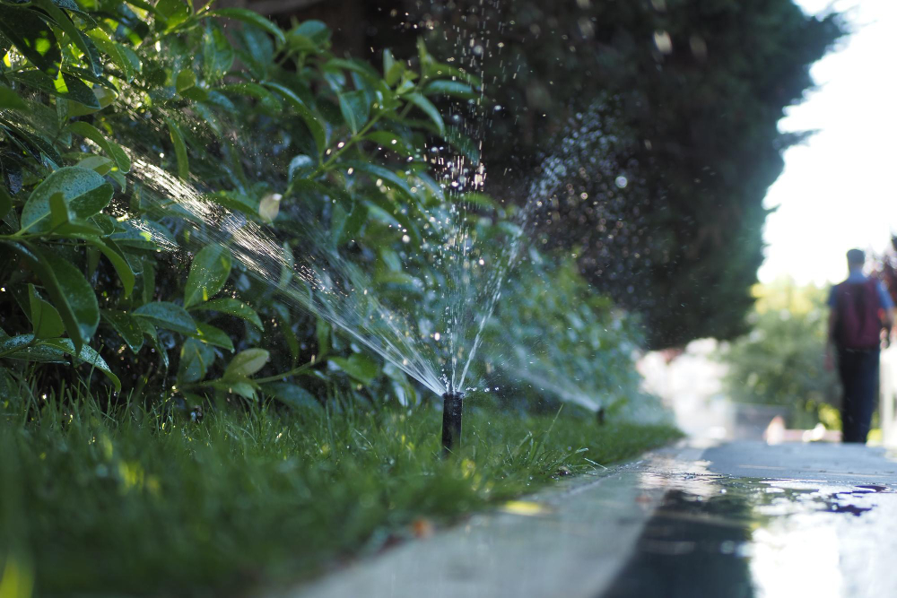 Transform Your Property with an Irrigation System