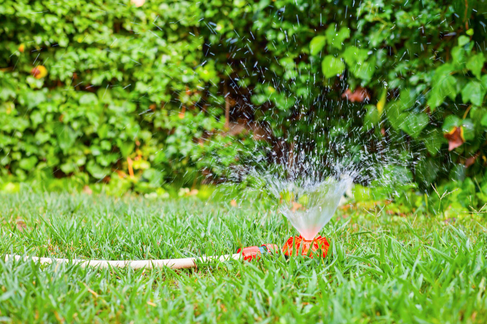 Why Sprinkler Systems Are Important for Your Garden