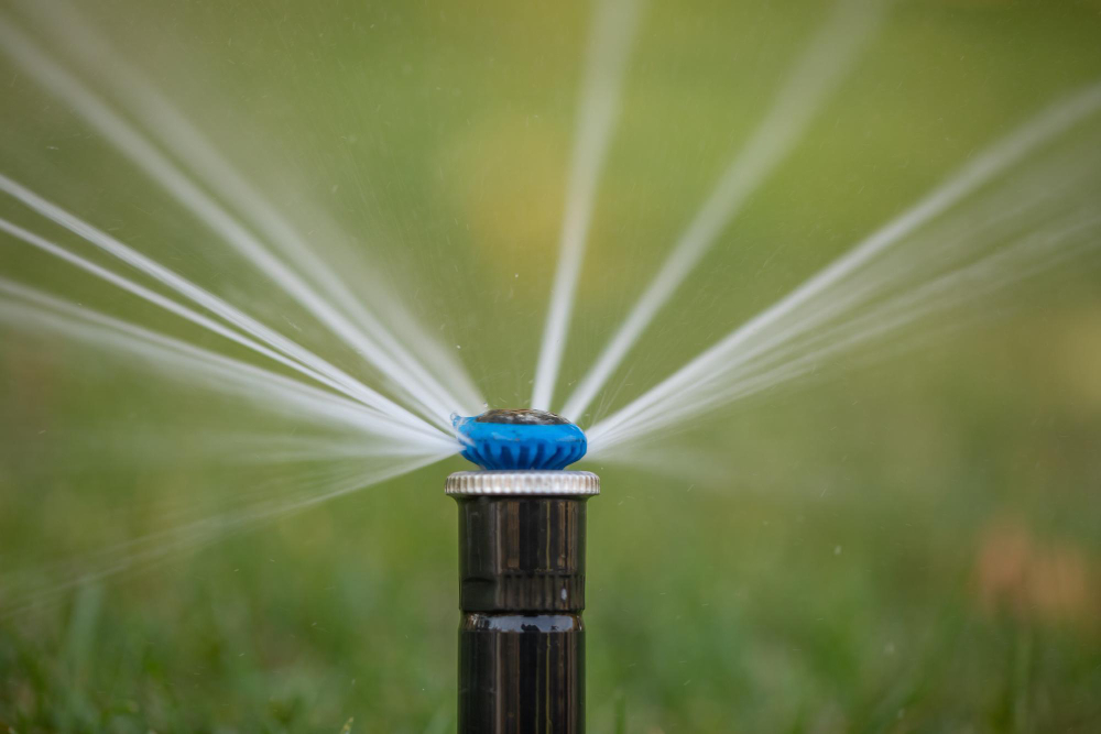 Signs It's Time for Professional Sprinkler Repair