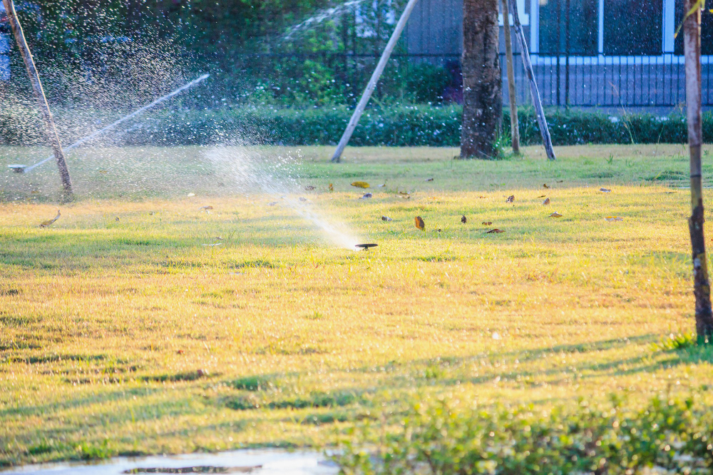 Common Sprinkler System Repairs and Solutions