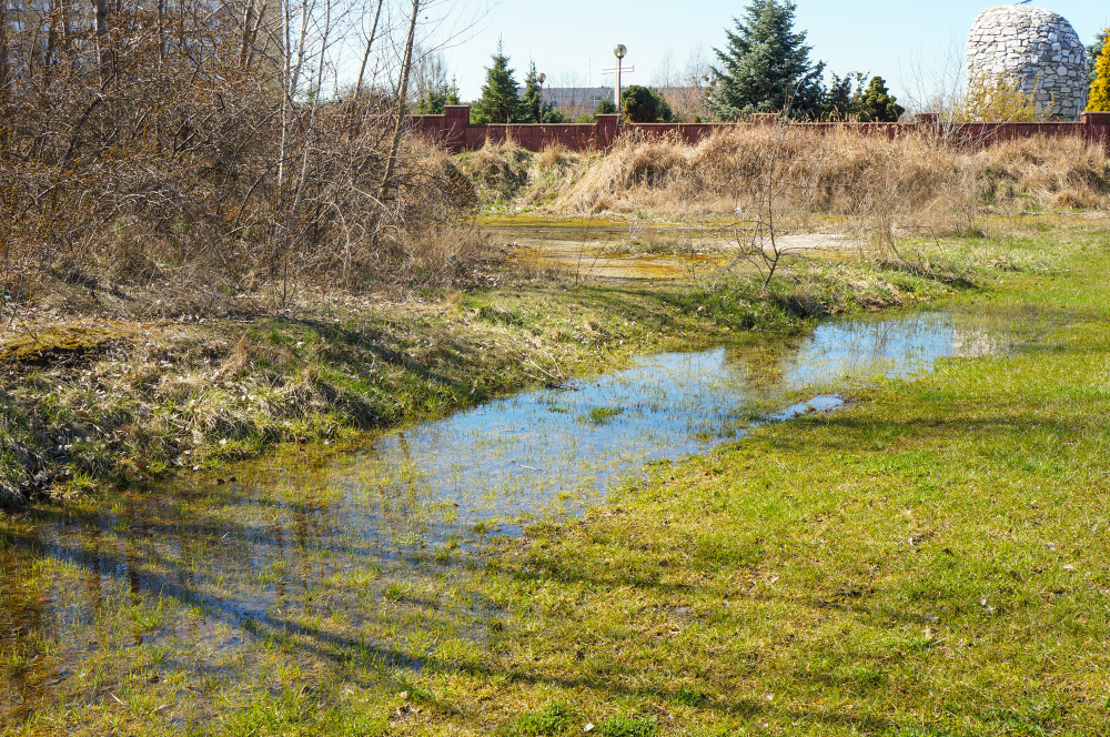 Top Irrigation and Drainage Problems (and How to Fix Them)