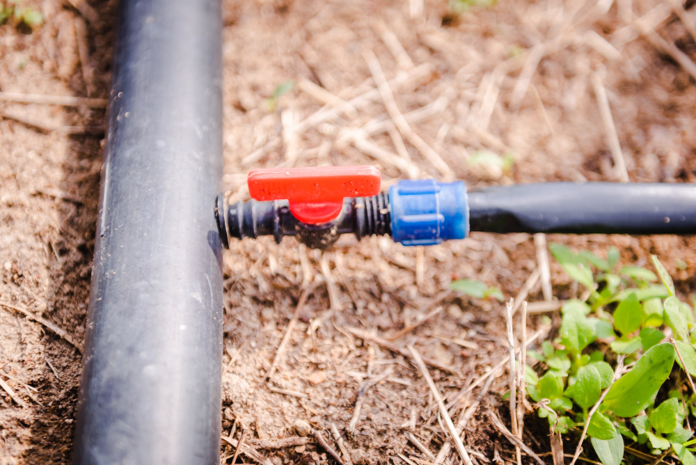 Tips for Finding the Right Company for Irrigation Repair