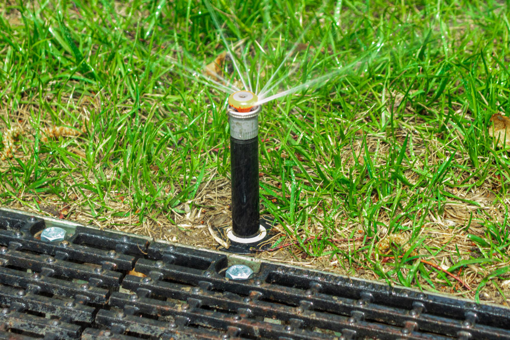 Understanding the Main Components of a Sprinkler System