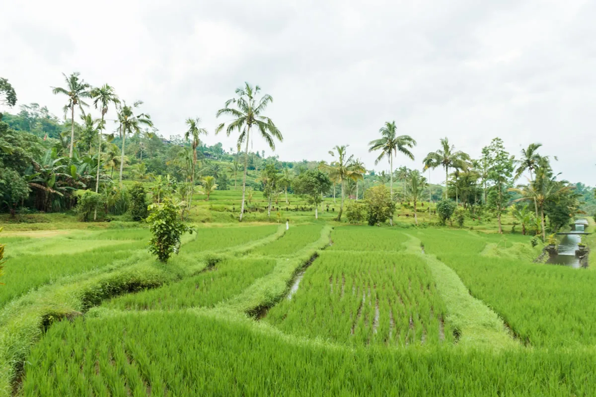 Four Common Reasons for Irrigation Repair
