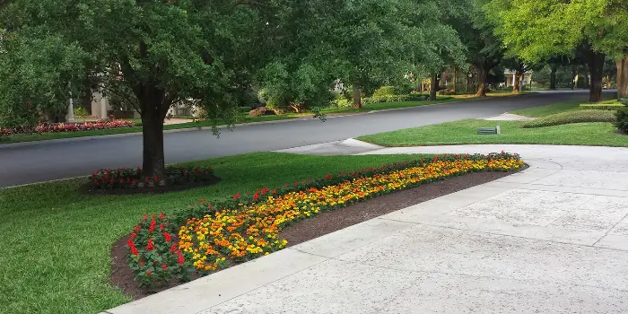 Front yard with beautiful lawn & landscape