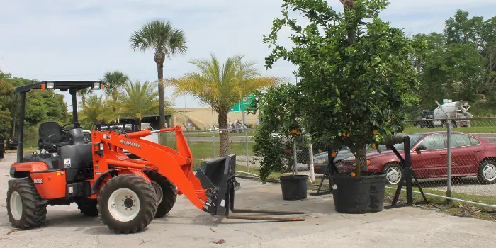 Lifting equipment with orange plants