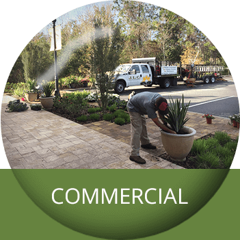 Commercial Landscaping