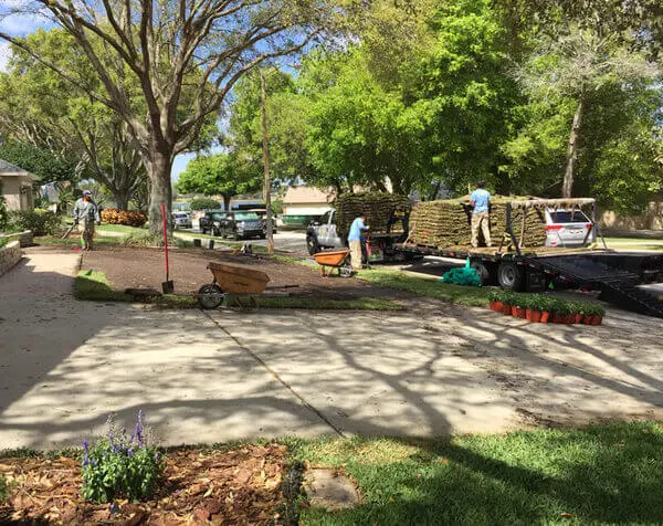 Sod Installation